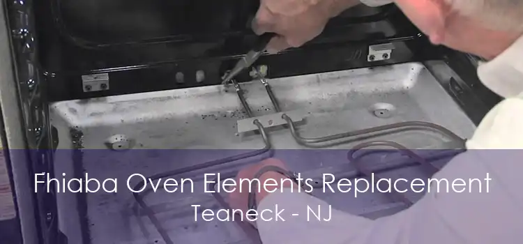Fhiaba Oven Elements Replacement Teaneck - NJ