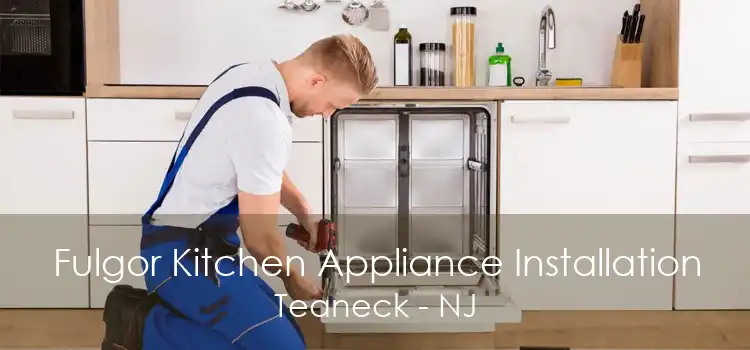 Fulgor Kitchen Appliance Installation Teaneck - NJ