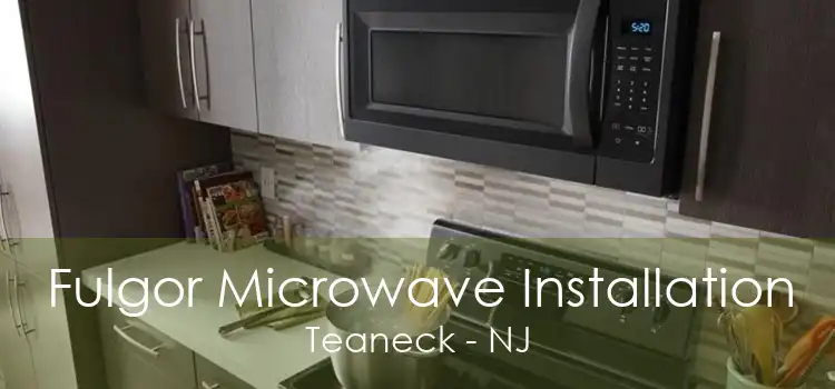 Fulgor Microwave Installation Teaneck - NJ