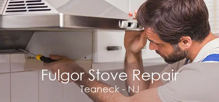Fulgor Stove Repair Teaneck - NJ