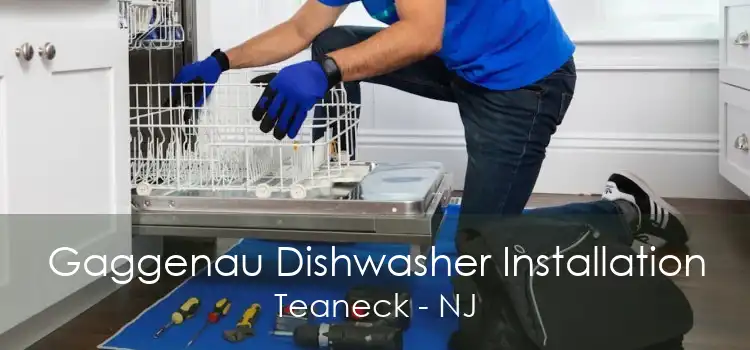 Gaggenau Dishwasher Installation Teaneck - NJ