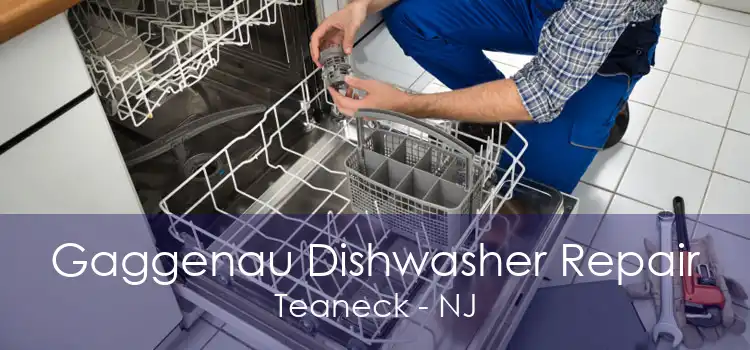 Gaggenau Dishwasher Repair Teaneck - NJ