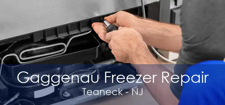 Gaggenau Freezer Repair Teaneck - NJ