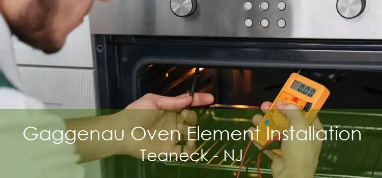 Gaggenau Oven Element Installation Teaneck - NJ
