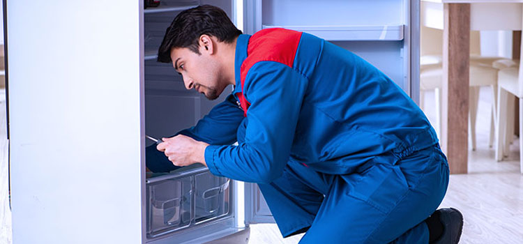 Beko Freezer Repair Services in Teaneck, New Jersey