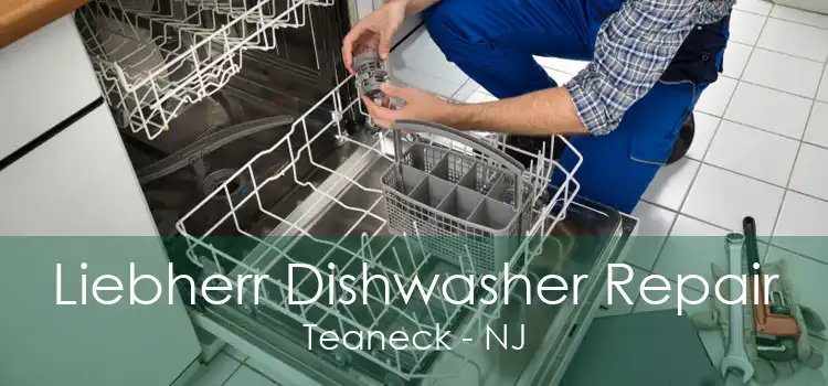 Liebherr Dishwasher Repair Teaneck - NJ