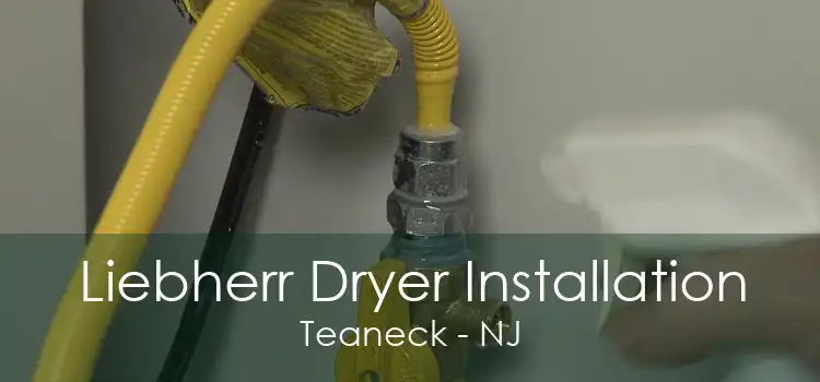 Liebherr Dryer Installation Teaneck - NJ