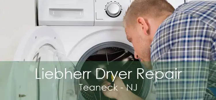 Liebherr Dryer Repair Teaneck - NJ