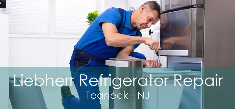 Liebherr Refrigerator Repair Teaneck - NJ