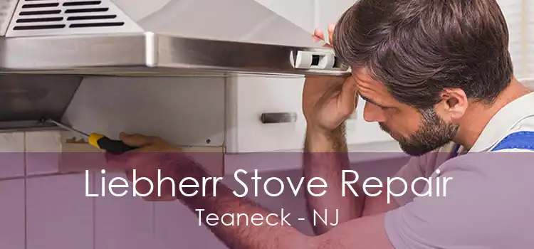 Liebherr Stove Repair Teaneck - NJ