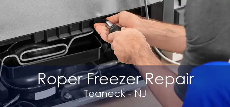 Roper Freezer Repair Teaneck - NJ