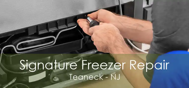 Signature Freezer Repair Teaneck - NJ