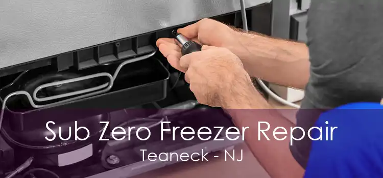 Sub Zero Freezer Repair Teaneck - NJ