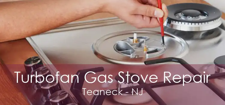 Turbofan Gas Stove Repair Teaneck - NJ