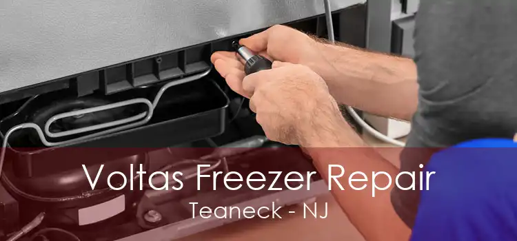 Voltas Freezer Repair Teaneck - NJ
