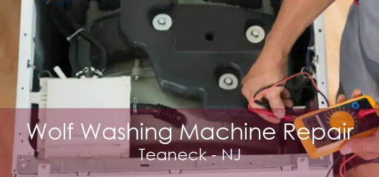 Wolf Washing Machine Repair Teaneck - NJ