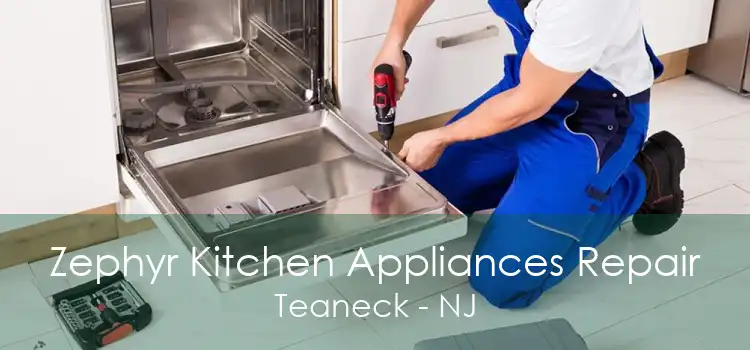 Zephyr Kitchen Appliances Repair Teaneck - NJ